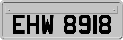 EHW8918