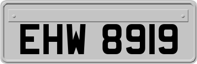 EHW8919