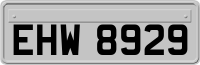 EHW8929