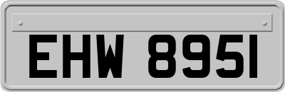 EHW8951