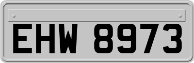 EHW8973