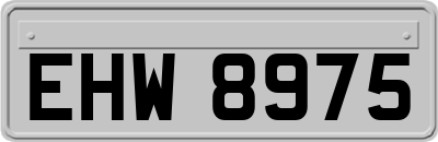 EHW8975
