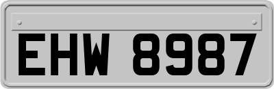 EHW8987