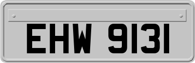 EHW9131