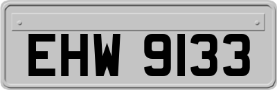 EHW9133