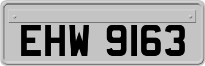 EHW9163