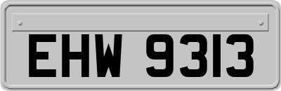 EHW9313
