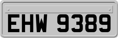 EHW9389