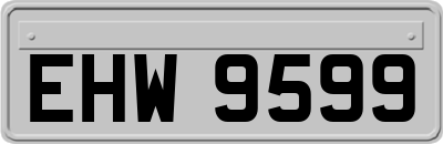EHW9599