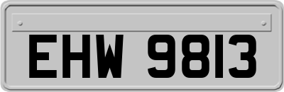 EHW9813