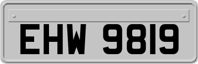 EHW9819