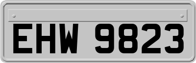 EHW9823