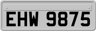 EHW9875