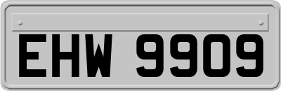 EHW9909