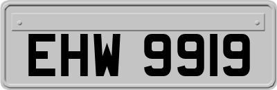 EHW9919