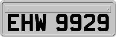 EHW9929