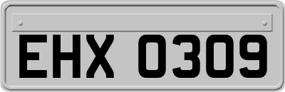 EHX0309