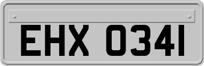 EHX0341