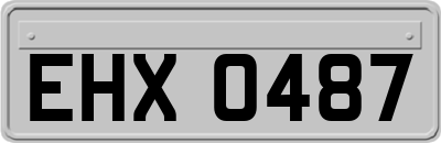 EHX0487