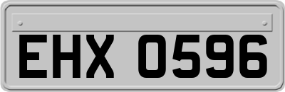 EHX0596
