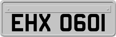 EHX0601