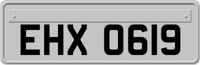 EHX0619
