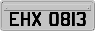 EHX0813