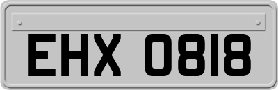 EHX0818