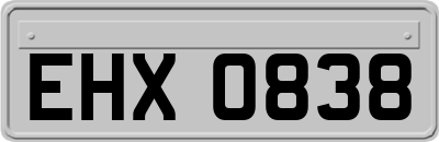 EHX0838