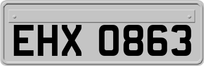 EHX0863