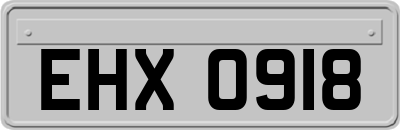 EHX0918