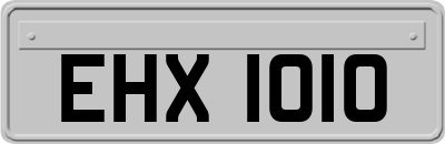 EHX1010