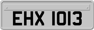 EHX1013