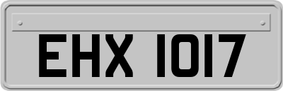 EHX1017