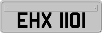 EHX1101