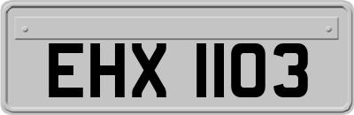 EHX1103
