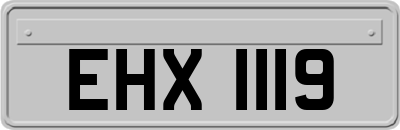 EHX1119