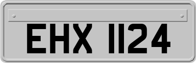 EHX1124
