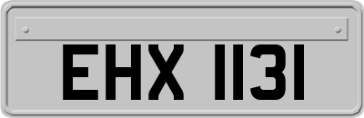 EHX1131