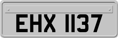 EHX1137