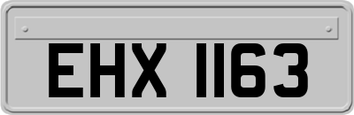 EHX1163