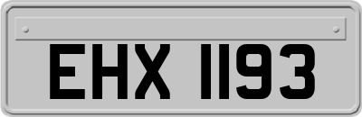 EHX1193