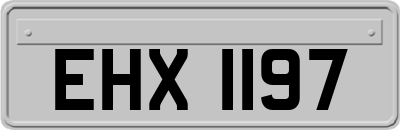 EHX1197