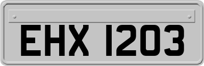 EHX1203