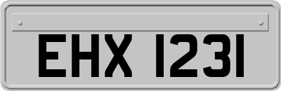 EHX1231