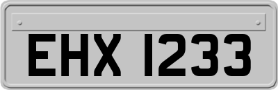 EHX1233