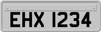 EHX1234