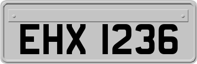 EHX1236