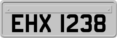 EHX1238