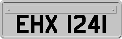 EHX1241